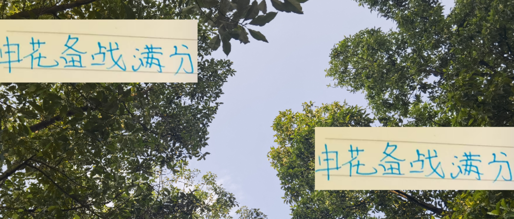 申花备战满分！虽没有留住杨皓宇 陈晋一 但留住阿苏埃 也很给力